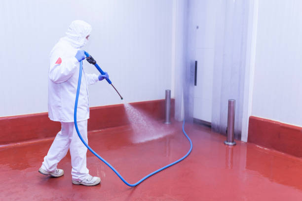  Ladera Ranch, CA Pressure Washing Pros