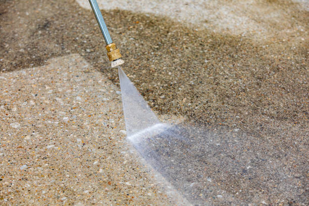 Best Driveway Pressure Washing  in Ladera Ranch, CA